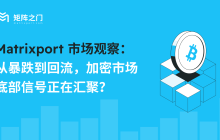 Matrixport Market Observation: From Plunge to Rebound, Are Bottom Signals in the Crypto Market Gathering?