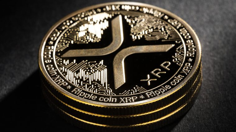 Spotlight On Ripples Elite Unveiling The Top Xrp Wallets Aicoin