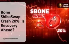Bone ShibaSwap价格崩溃的3个红旗:你应该知道什么?
