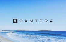 Pantera Capital: Why are we launching the "Crypto Treasury Reserve" fund?