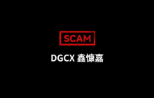 The whereabouts of 13 billion in funds becomes a mystery: The rise and fall of the Xinkangjia DGCX scam.