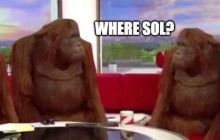 Solana 88% circulation, 71% staking rate: Who is staking SOL?