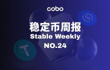 Why did PayPal go all in on the issuance rights of a stablecoin?