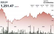 ‘Distribution Is the Key’: BNB’s 129% Rally Mirrors Solana’s 2024 Surge