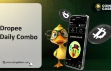 Dropee 每日组合 2025年11月02日:玩赚硬币