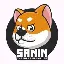 Coin Logo
