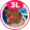 coin logo