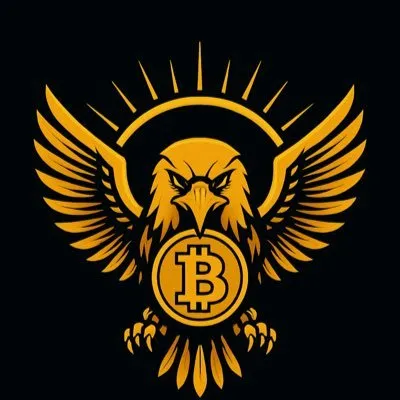 老鹰🦅
