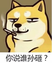 币档案 | 狗狗币，开了一个严肃的玩笑_aicoin_图4