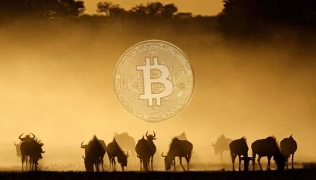 数字货币的沃土，非洲经济找到了一剂“良药”_aicoin_图3