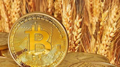 经典骗局又回来了，3M再度盯上中国币民，一天卷走5000万_aicoin_图1