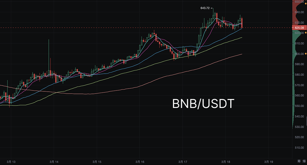 CZ的魔法触角：中东风吹动BSC，$Mubarak狂飙与BNB稳中求进_aicoin_图3