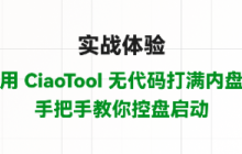 Practical Experience: Use CiaoTool to Fill the Internal Market Without Code, A Step-by-Step Guide to Controlling Market Launch