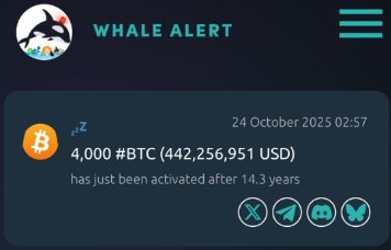远古比特币钱包苏醒!14年持仓首次移动,市场关注信号_aicoin_图1 远古比特币钱包苏醒!14年持仓首次移动,市场关注信号_aicoin_图1