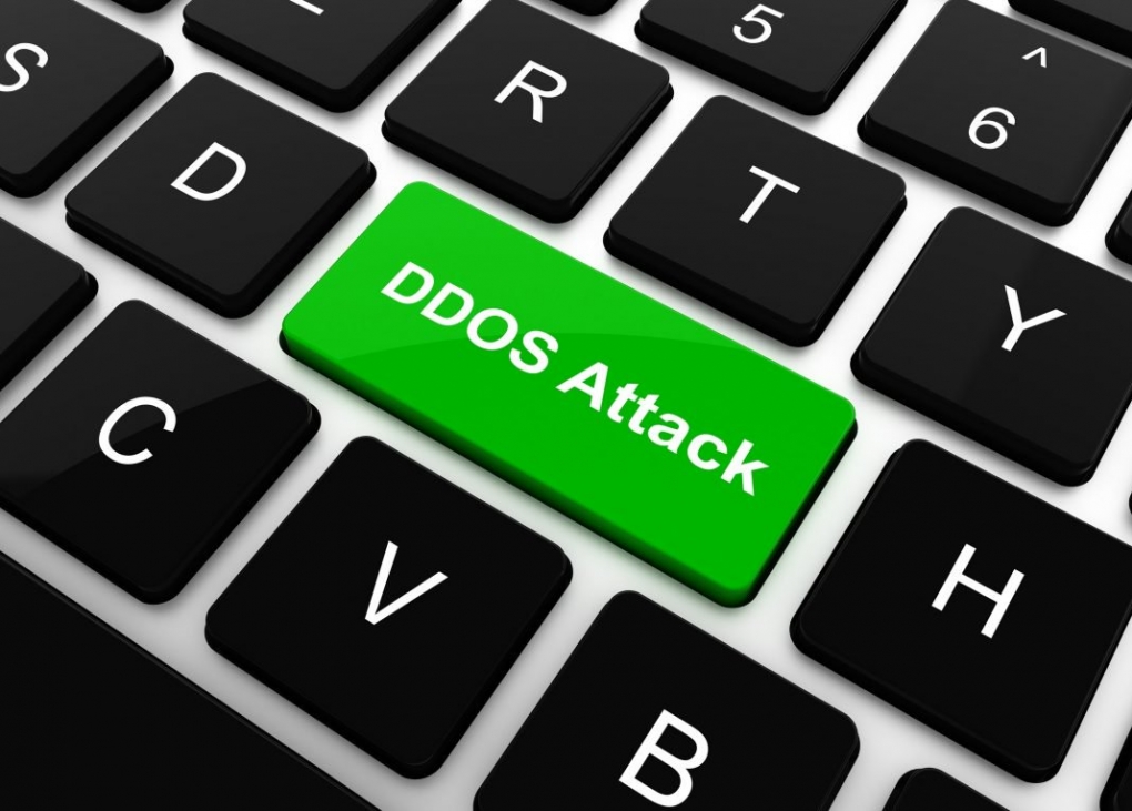 Distributed Denial of Service Attack Greets Forked Bitcoin Gold on ...
