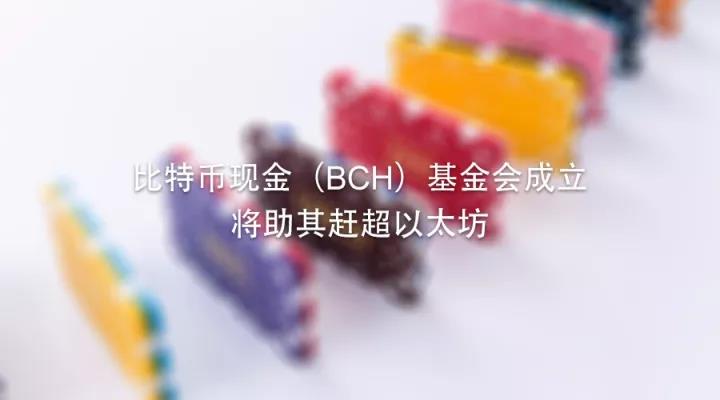 比特币现金（BCH）基金会成立，将助其赶超以太坊_aicoin_图1