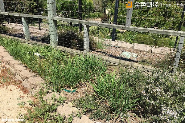 炒币大佬众生相：币圈偶像与他们的造富神话