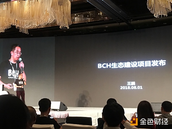 BCH生态基金王鹏