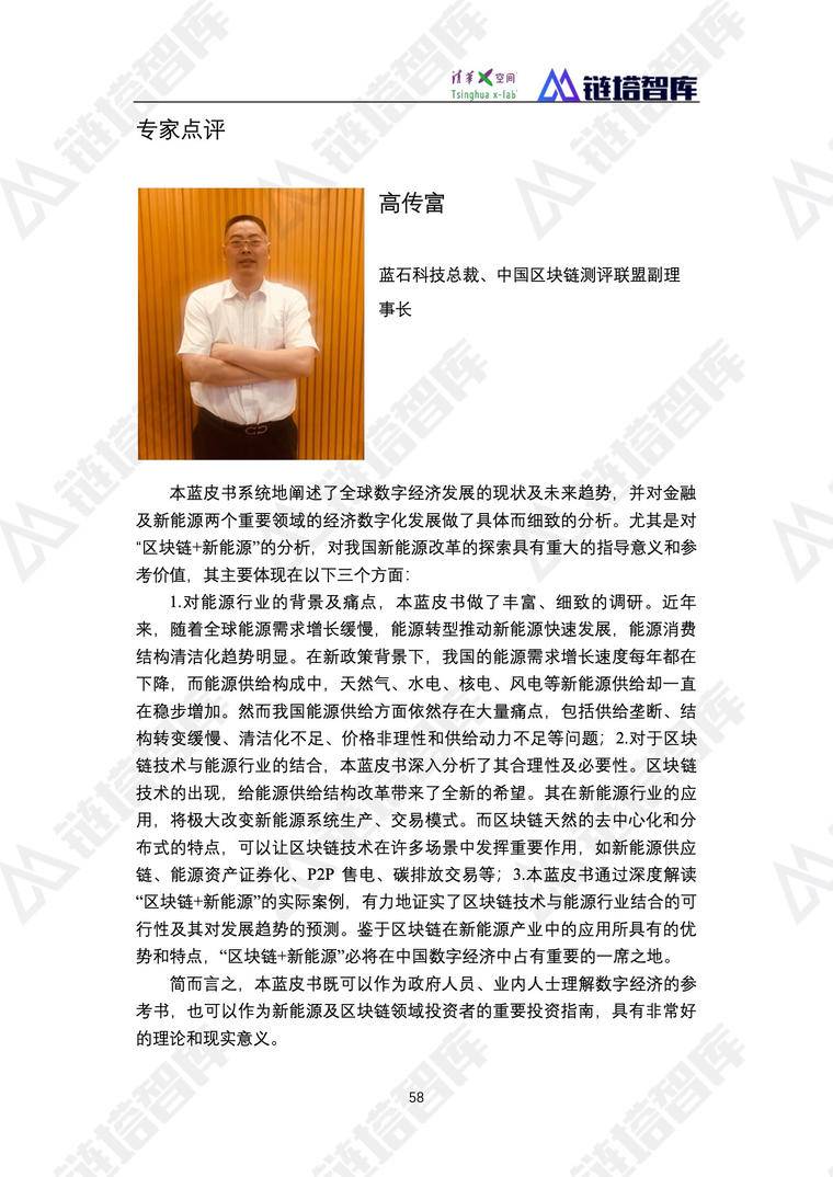 《2019数字经济—新能源产业发展蓝皮书》发布 | 链塔智库&清华x-lab配图(70)