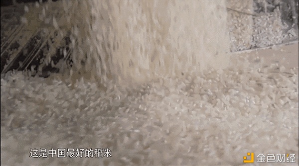 辰颐物语：东北珍珠米——米粒饱满，软糯可口，让你吃出幸福感