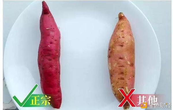 辰颐物语：天目山小香薯 | 绵糯无丝，入口即化