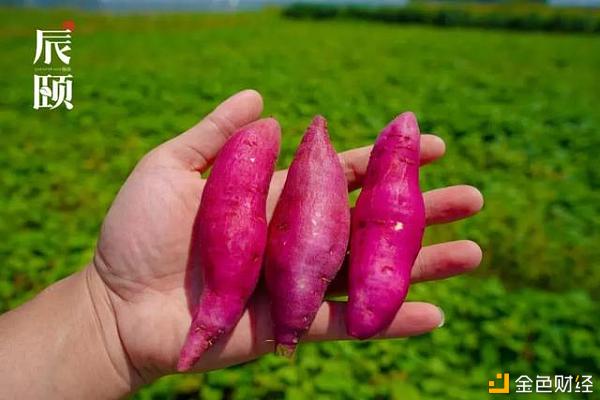 辰颐物语：天目山小香薯 | 绵糯无丝，入口即化
