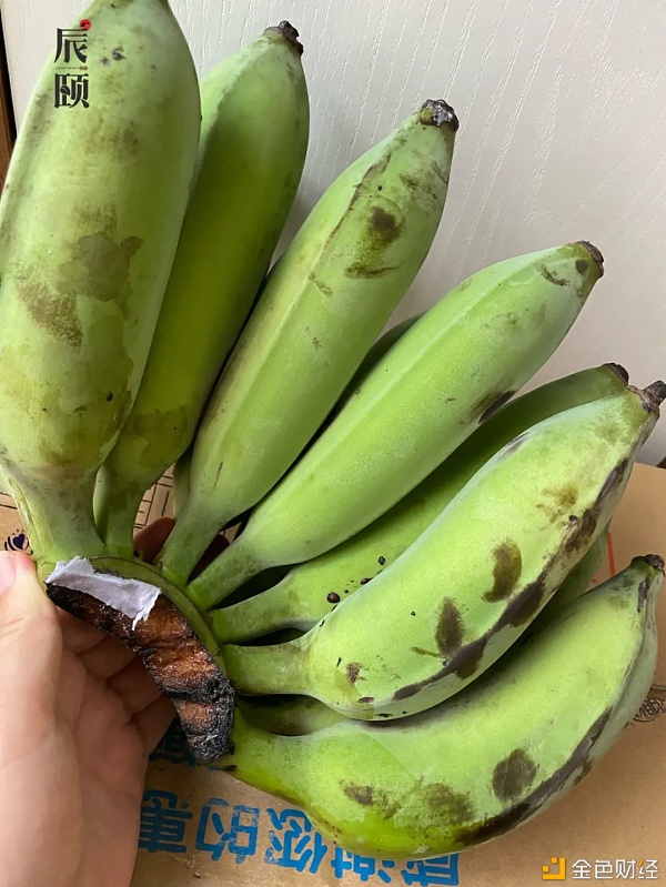 辰颐物语：「丑蕉」丑八怪也有春天，颜控时代只想选择这把丑芭蕉