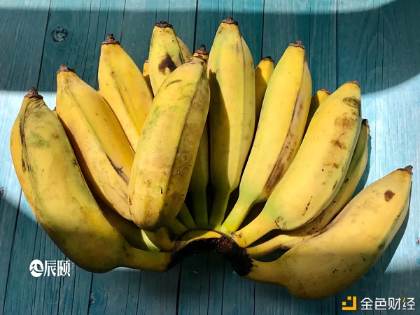 辰颐物语：「丑蕉」丑八怪也有春天，颜控时代只想选择这把丑芭蕉