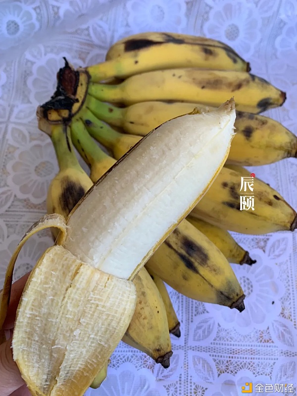 辰颐物语：「丑蕉」丑八怪也有春天，颜控时代只想选择这把丑芭蕉