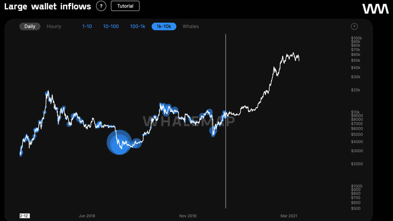 Bitcoin Whale Count Shrinks- Speculators Assume Trickle Distribution or Possible Address Reorganizations