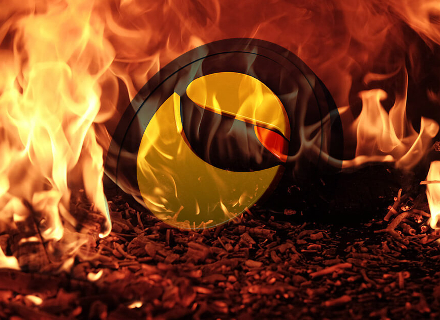 Terra分崩离析，生态项目们怎么办？