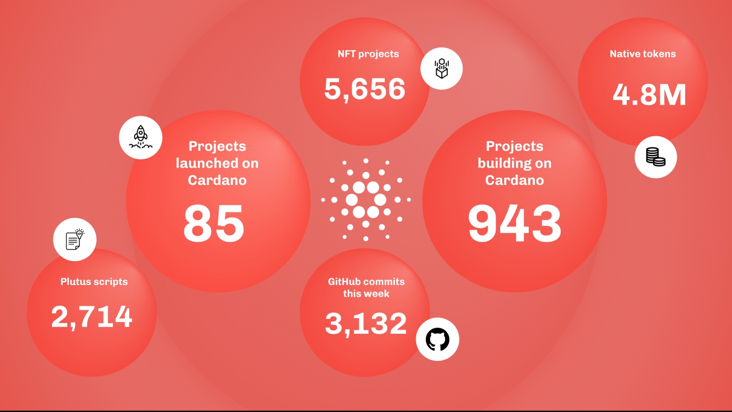 自 3 月以来，随着项目数量的增加，卡尔达诺上铸造了超过 800,000 个 NFT