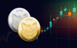 Shiba Inu Gains 10% to Return to Key Price Level; Historical Patterns ...