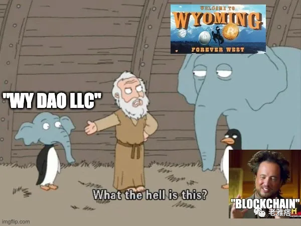 一文探究DAO与法律实体的结合