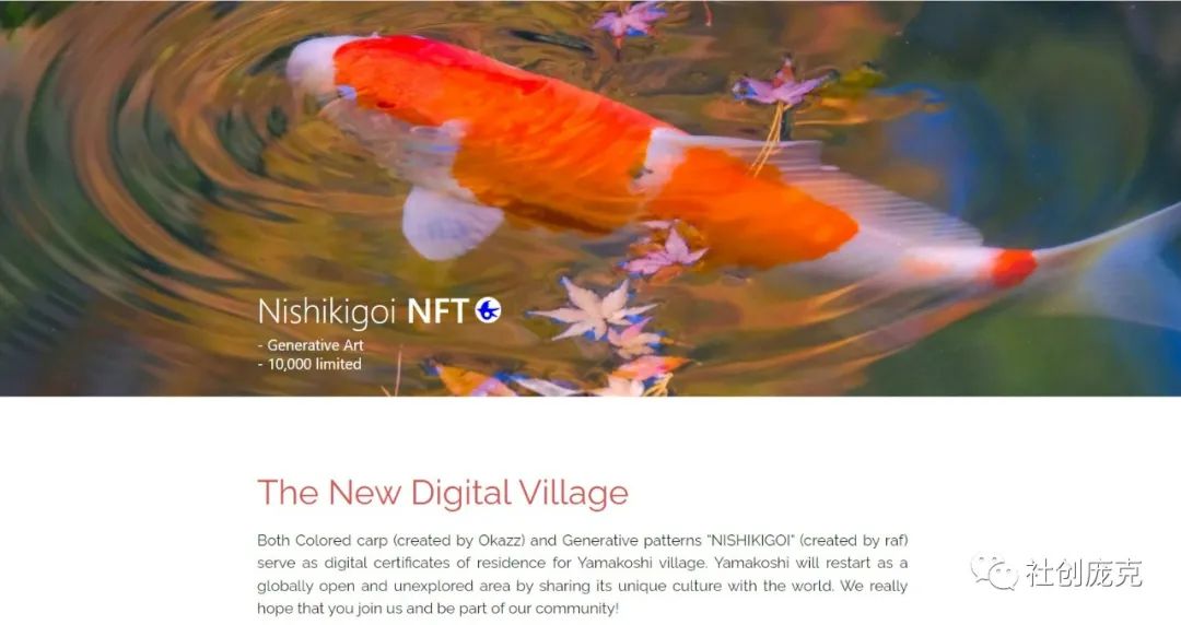 山谷志村Yamakoshi：那个发行锦鲤NFT的灾后重建山村怎么样了？