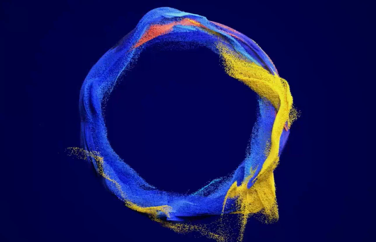 How did Solana, which has gone through hardships, win Visa's favor?