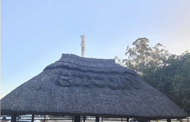 Zimbabwe: Buying cars with BTC, sending money to family