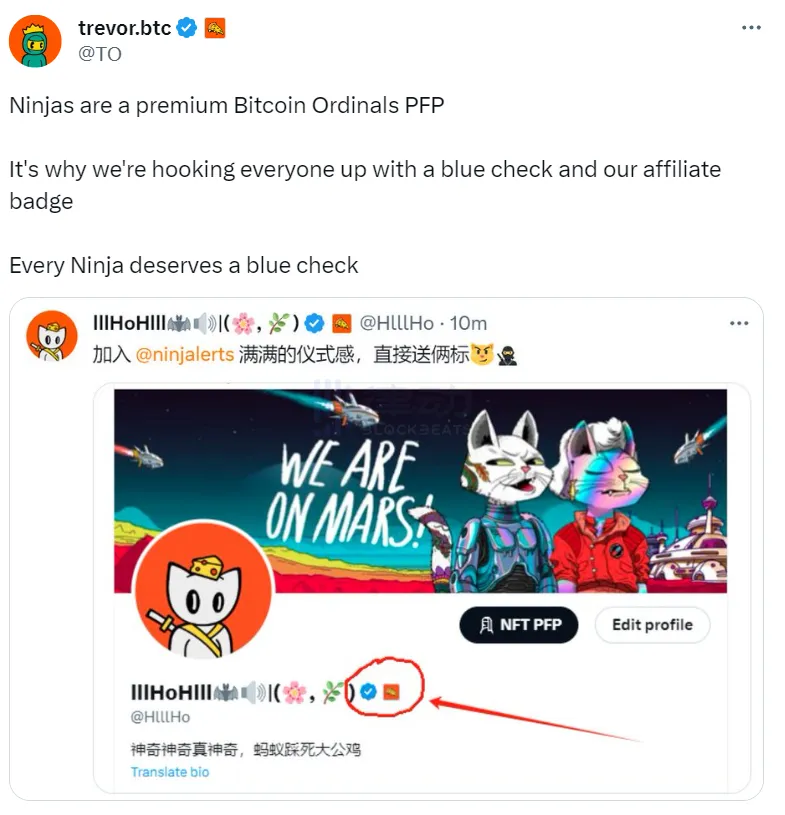 Potential Bitcoin NFT New Blue Chip? What are the highlights of Pizza Ninjas?