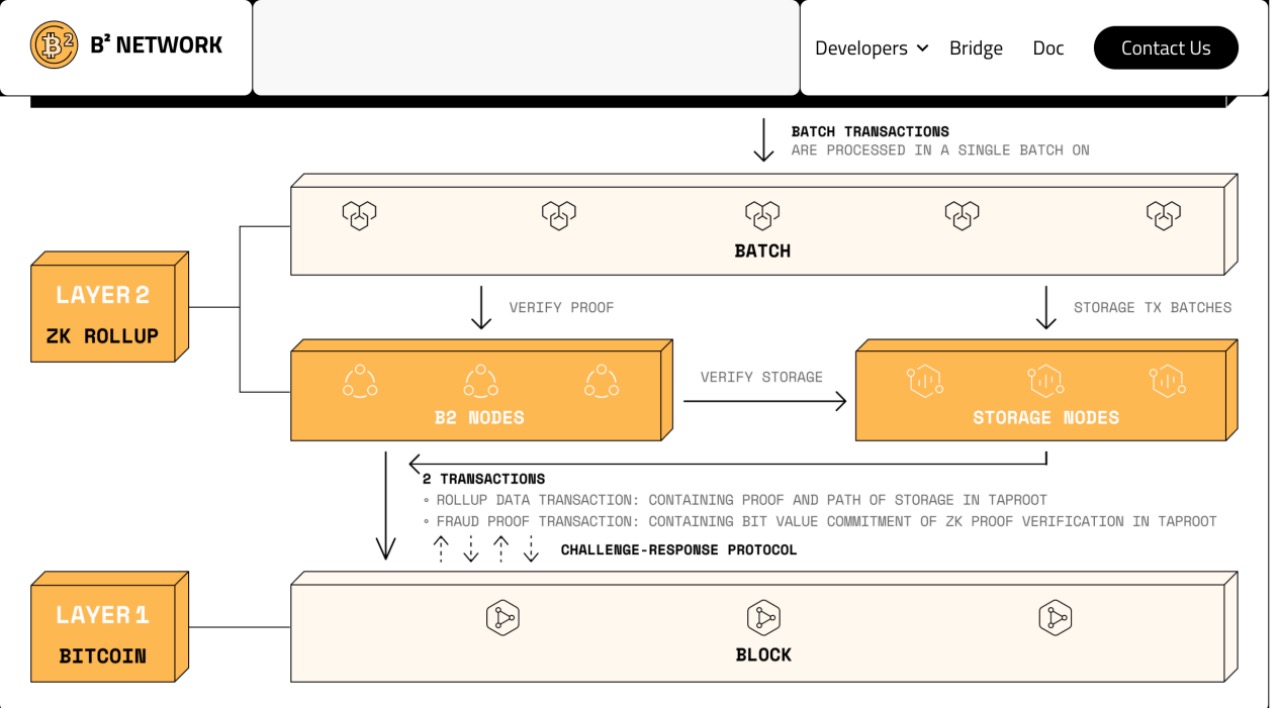 Bitcoin Layer2 Flourishing (Part 2): Overview of 20 Early Projects