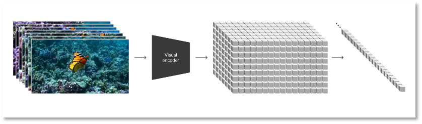Transforming visual data into patches