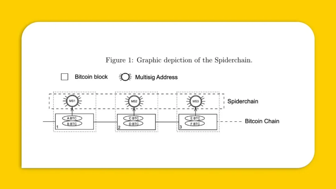 解读西方阵营的BTC L2：Mezo、BOB及Spiderchain