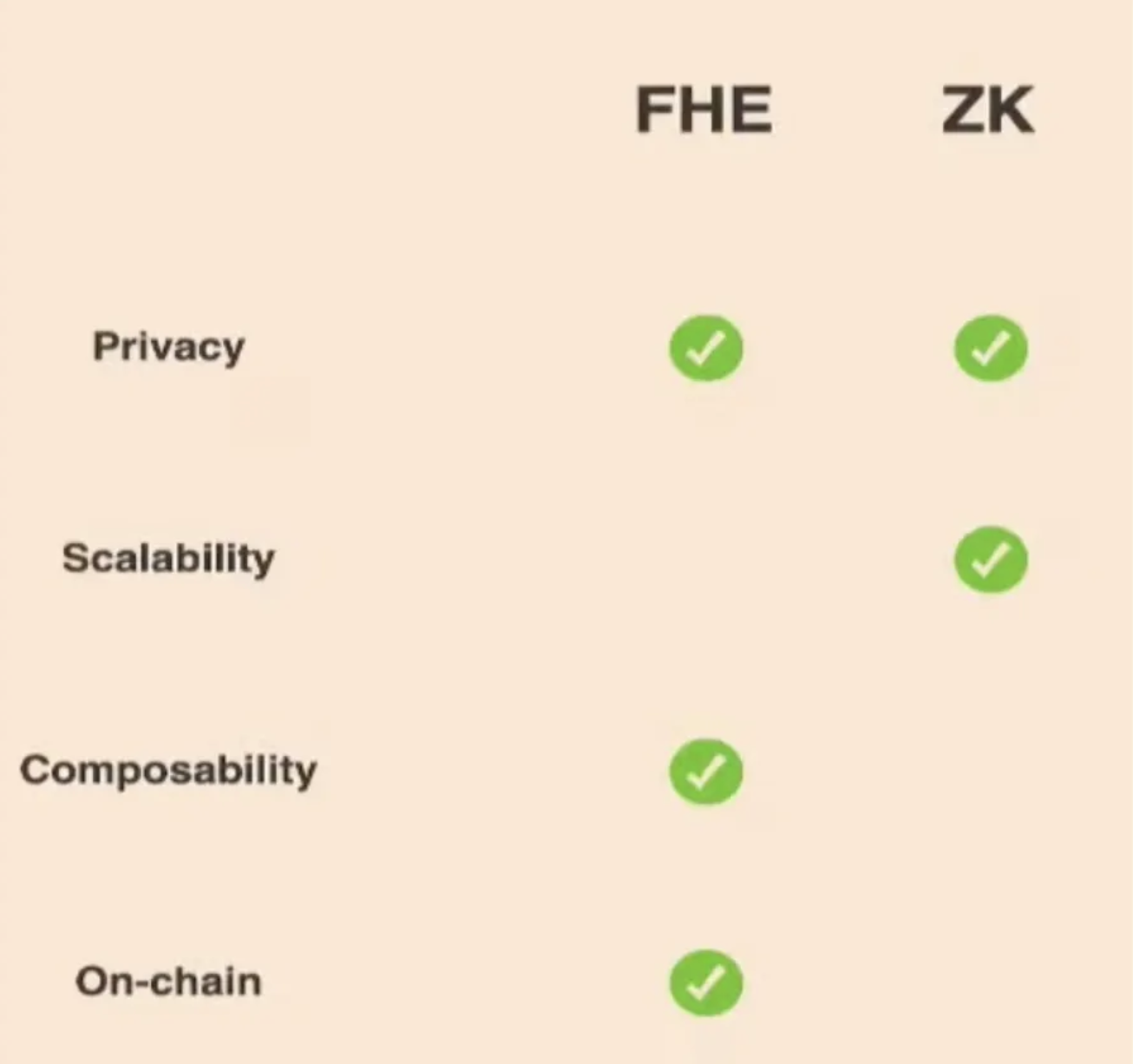 Unveiling FHE Technology: Exploring Data Privacy Solutions Beyond Zero-Knowledge Techniques