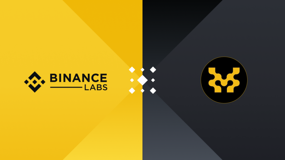 Movement Labs：驱动Move语言，开启定制化区块链解决方案新纪元