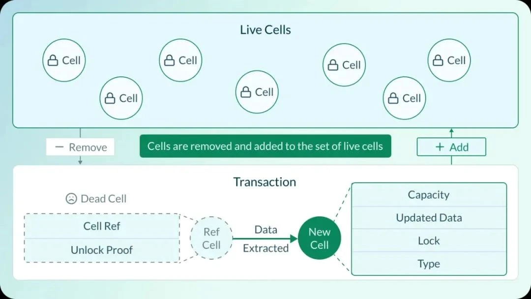 Nervos Network: Native Bitcoin L2 Architecture and RGB++ Asset Issuance Protocol