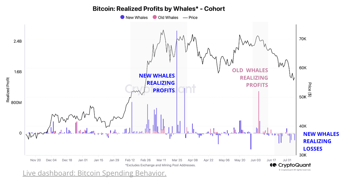 Cryptoquant报告：比特币鲸鱼在价格触及4个月低点时积极买入