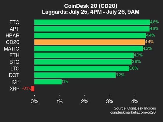 9am CoinDesk 20 Update for 2024-07-26: laggards