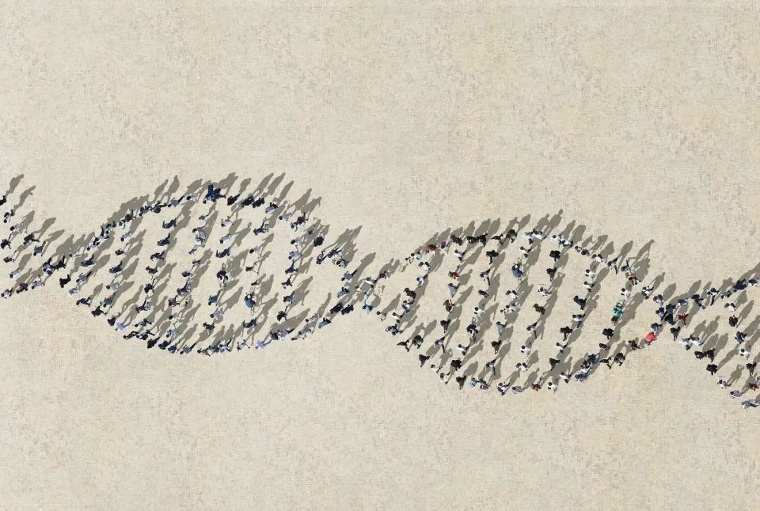 Evolution of the Cryptocurrency Venture Capital Cycle (Part 1): Starting from Scratch, Remaking the New World on the Chain