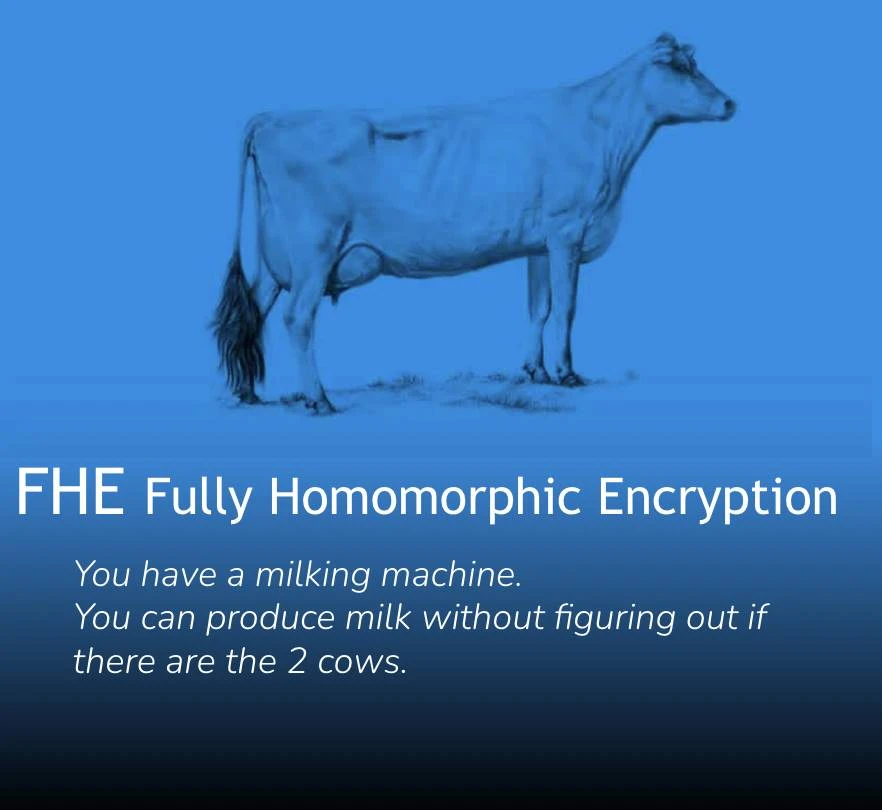 When cows meet cryptography: 4 metaphorical illustrations of ZK, FHE, MPC, and TEE