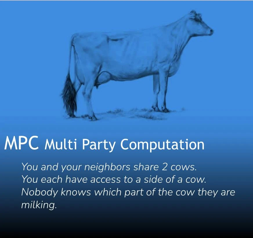 When cows meet cryptography: 4 metaphorical illustrations of ZK, FHE, MPC, and TEE