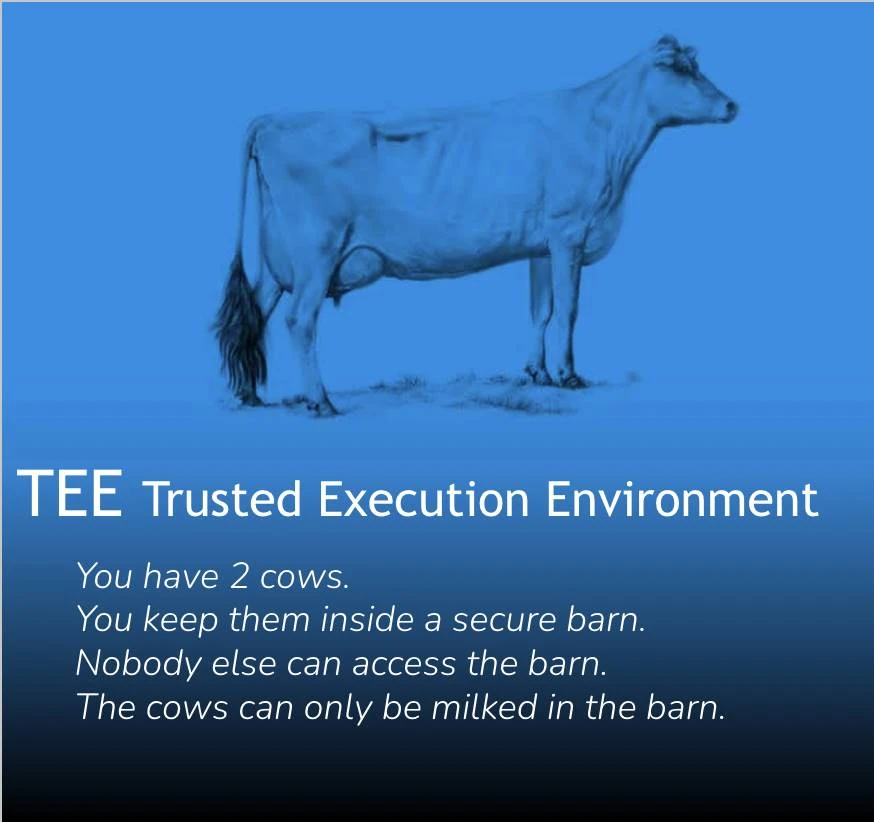 When cows meet cryptography: 4 metaphorical illustrations of ZK, FHE, MPC, and TEE